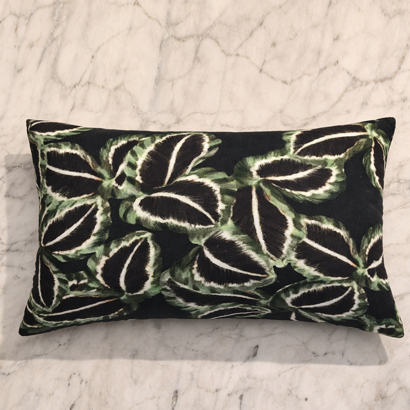 Declan - Cotton Printed Cushion
