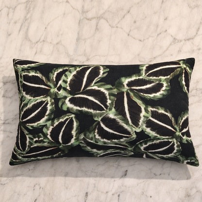 Declan - Cotton Printed Cushion