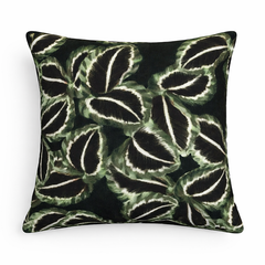 Declan - Cotton Printed Cushion